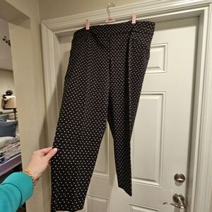 Eliane Rose Elegant Black Polka Dot Women's Straight Leg Pants 18W